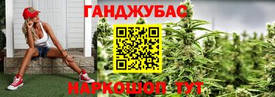 трава Кингисепп