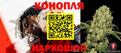 мдпв Кимры