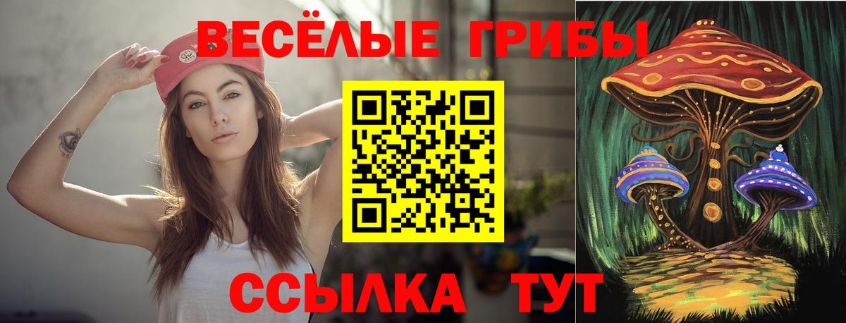 Улан-Удэ  купить   Вход с VPN  Галлюциногенные грибы Psilocybe 